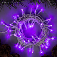   5 , Ip20,  , 50 Led, 8 , 220 ,  