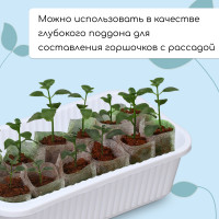   , 28.5   15.5   8.5 , 2,5 , , , Greengo