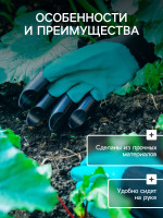  ,  ,   ,  ,  10, , Greengo