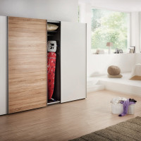   Airsteam Premium L, 13038 ,    