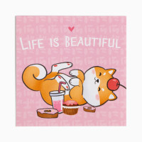    Relax,  75 100 ,  36-39 (23-25 ), , 