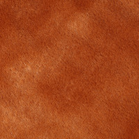    10  50  50 : , , ,   