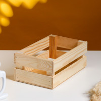 ����� ��� ������ ������� ����, 24.5 13.5 9 ��, ����������