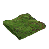  , ,  1 1 , , , , Greengo