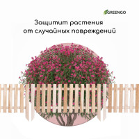 , 45 110 , 1 , , , Greengo