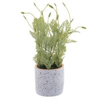 ��������� ����������, L19 W19 H34 ��, 2�.