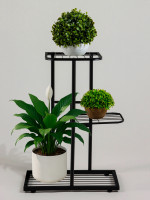 ��������� ��� ������ Greengo, 3 �����, 43 22 57 ��, ���������, ������, ������