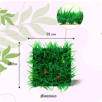  , 25 25 ,  , Greengo
