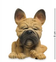 Rv-895     (w.Stratford)