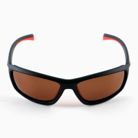 ���� ��������������� �������� Tsunami � �������, ����� Brown