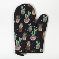    "Succulents" - 2027 ,  1919 , 100% 