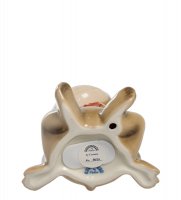 Cms-60/14   (pavone)