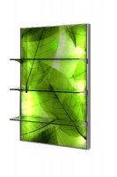  Expo Light
